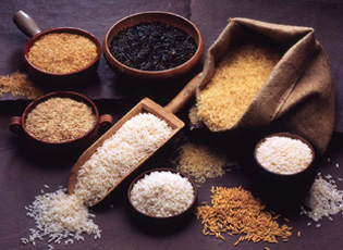 Rice